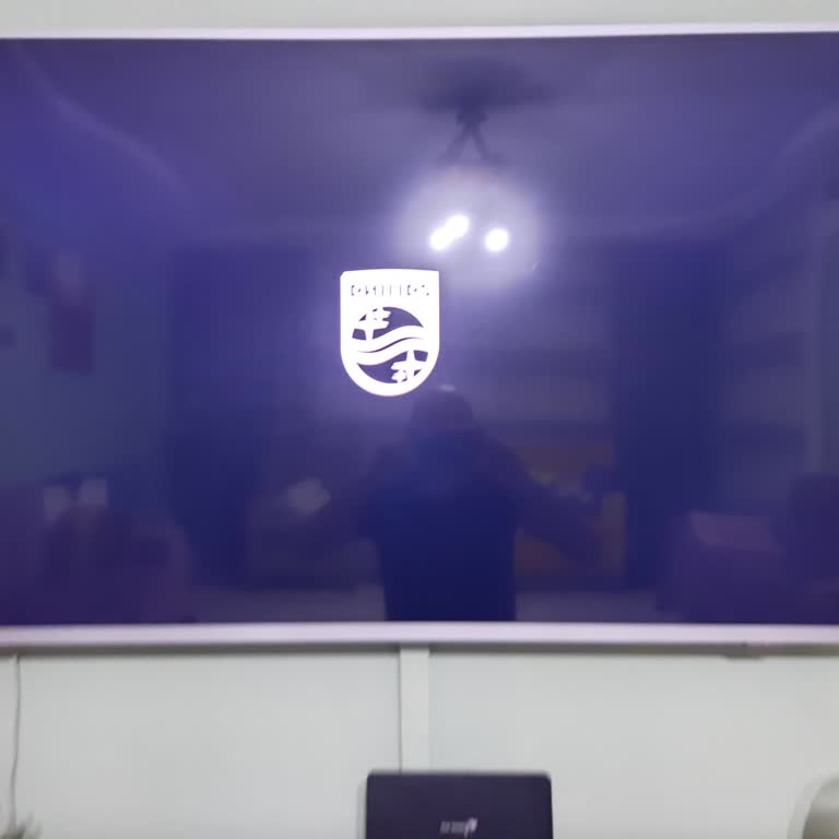 PHILIPS TV Philips 58Pus8505 Yazilim Sonrası Kapanma