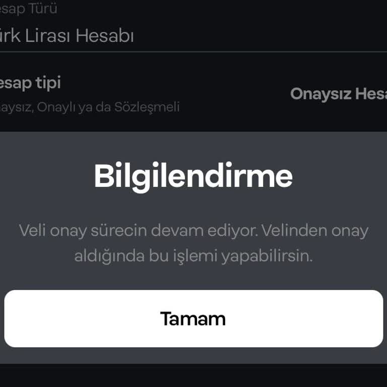 Papara Veli Onayı Sorunu!