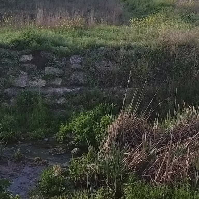 Lüleburgaz Belediyesi Görevini Yapsın. Çok Kötü Bir Koku Var!