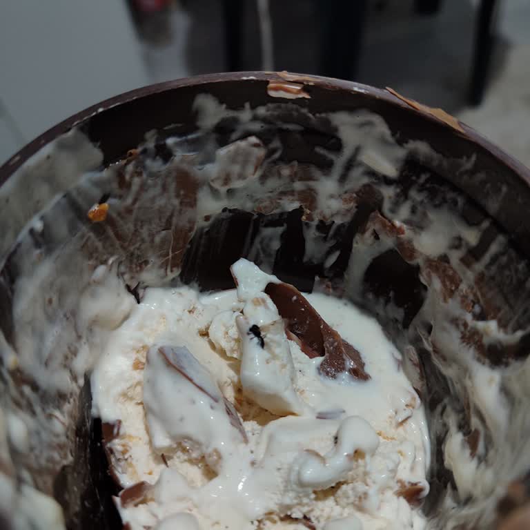 Magnum Kutu Dondurmadan Çıkan Sinek