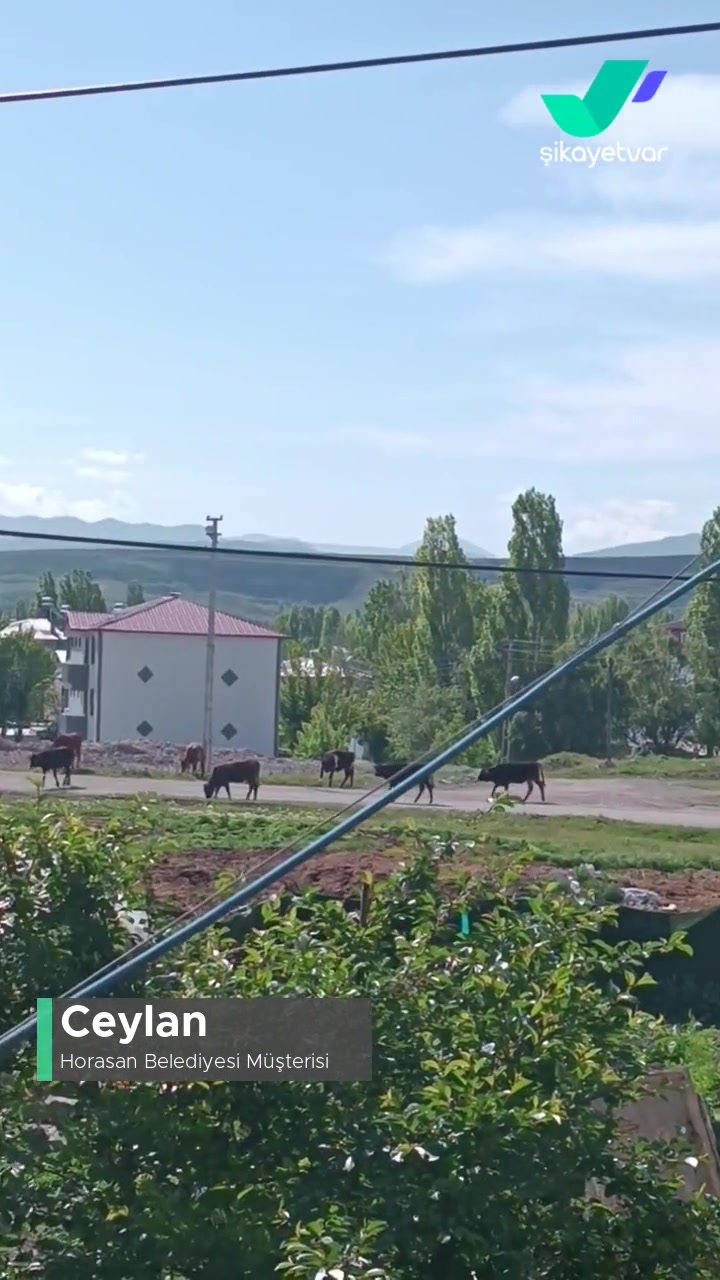 Horasan Belediyesi Çöplerin Toplanmaması videonun kapak resmi