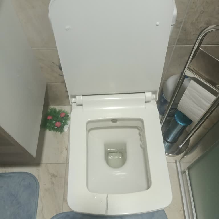 Seramiksan Klozet Kapağı Sıklıkla Kırılması