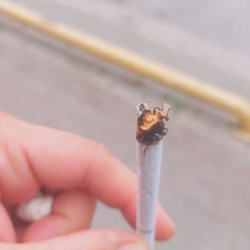 Marlboro Dan Odun Çıktı