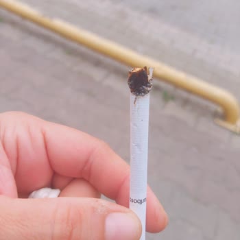 Marlboro Dan Odun Çıktı