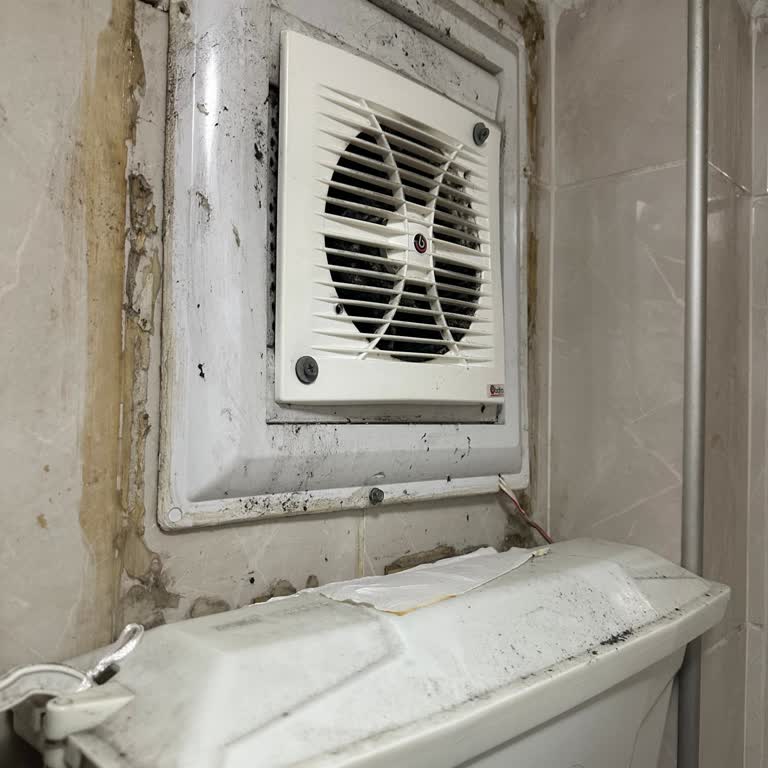 Öz Mevlana Pide Hijyen Sıfır!