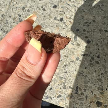 Eti Gıda Ünlü Bisküvi Markasında Hijyen Sorunu: Tüketici Şikayeti