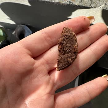 Eti Gıda Ünlü Bisküvi Markasında Hijyen Sorunu: Tüketici Şikayeti