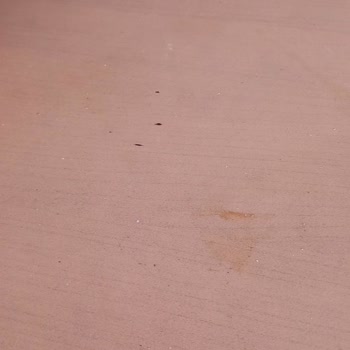 Little Caesars Pizzacıda Masa Titizlik Eksikliği.