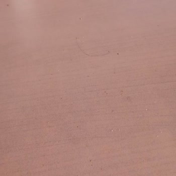 Little Caesars Pizzacıda Masa Titizlik Eksikliği.