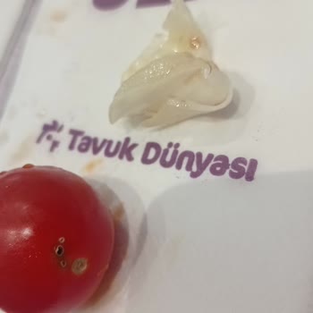 Tavuk Dünyası Menümde Kıl Çıktı, Domates Kurtluydu