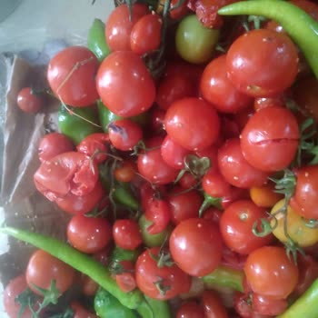 MNG Kargo İle Zaman Ve Özen Sorunu Var!