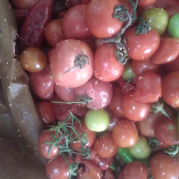 MNG Kargo İle Zaman Ve Özen Sorunu Var!