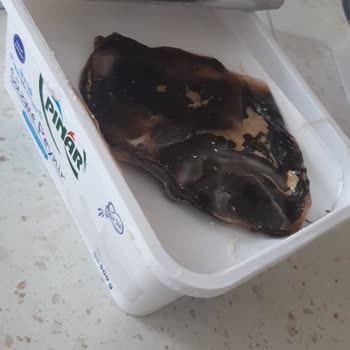 Pınar Et ve Süt Marketten Aldığım Peynirde Beklenmedik Bir Durum