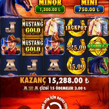 Betwild Sitesi 16 Bin TL Kazancımı 6900 TL'ye Çekti Beni Banladı!