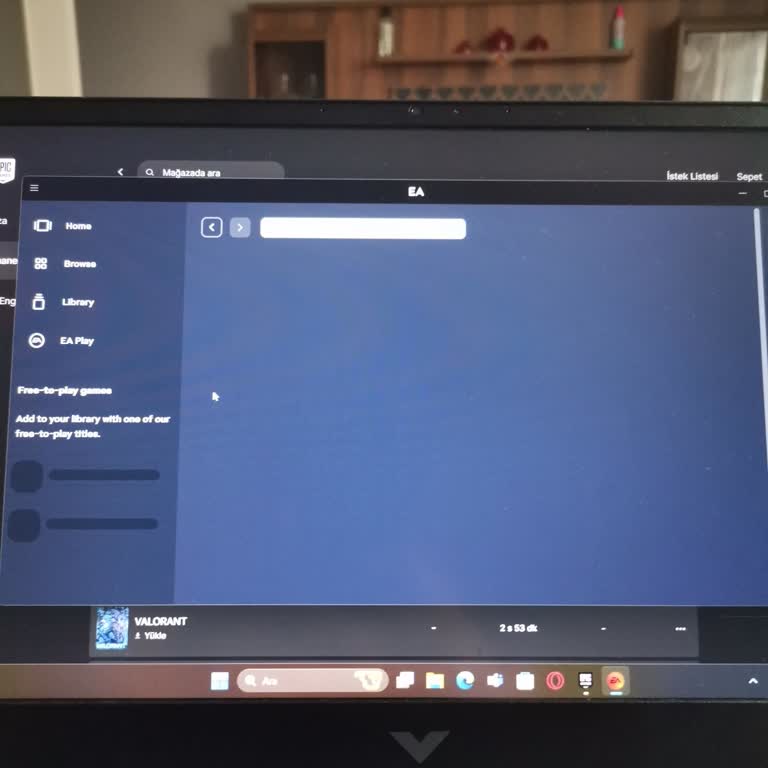 Ea Play İnternet Sorunu