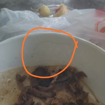 Köfteci Yusuf Et Döner Menüden Saç Kılı Çıktı