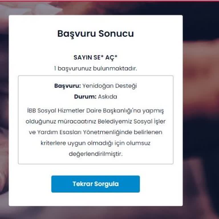 İBB - İstanbul Büyükşehir Belediyesi Yenidoğan Destek Paketi, Hoşgeldin Bebek
