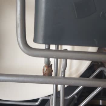 Arçelik Bulaşık Makinesi Sepet Pas İçinde