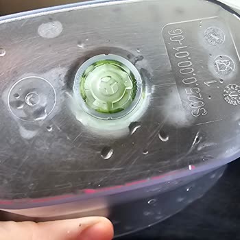 Brita Birita Sürahi Yosunlanma Problemi