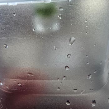 Brita Birita Sürahi Yosunlanma Problemi