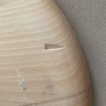 Aktaş Home Firma Aşırı İlgisiz