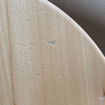 Aktaş Home Firma Aşırı İlgisiz