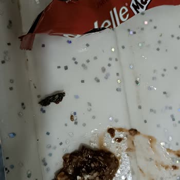 Tadelle Kıl Yumağı Çıktı