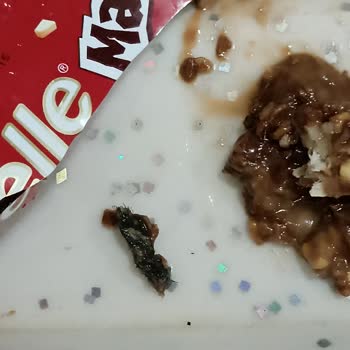 Tadelle Kıl Yumağı Çıktı