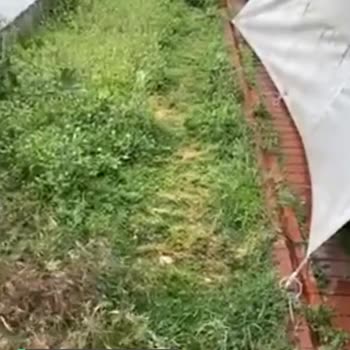 Salihli Belediyesi Ot Ve Havuz Arızası!