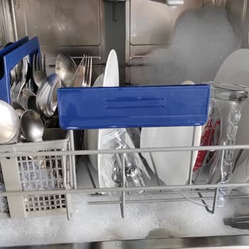 Rahik-i Mahtum Bir Doktor Bir Kimyager