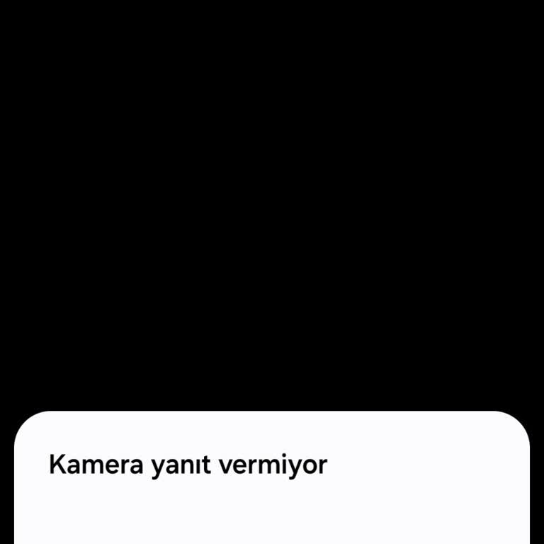 Samsung Telefon A54 Kamera Kronik Sorunlu