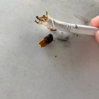 Philip Morris Sigardan Odun Çıktı