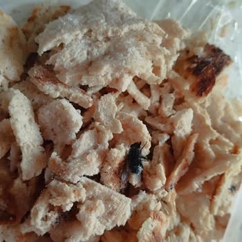 A101 Dönerde Sinek Çıktı