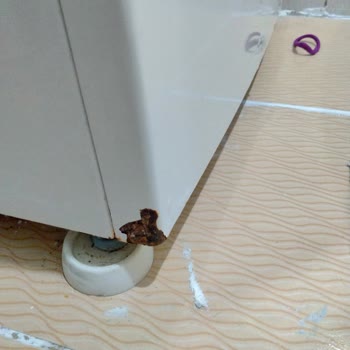 Profilo Çamaşır Makinesi Ön Panel Boya Atması