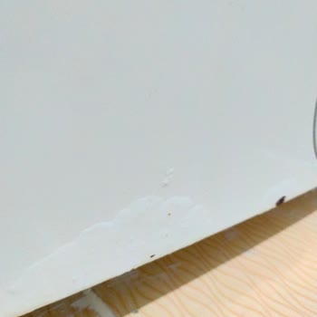 Profilo Çamaşır Makinesi Ön Panel Boya Atması