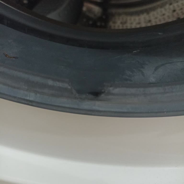 Profilo Çamaşır Makinesi Kapak Conta Sorunu