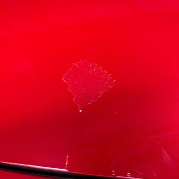 Nazer Otomotiv 2023 Mode Opel Astra L Boya Vernik Soyulması (atması) Problemi