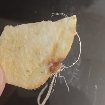 Lays İçinden Çıkan Madde