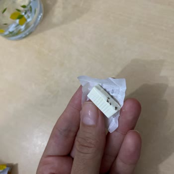 Falım Sakız Yapışan Karınca