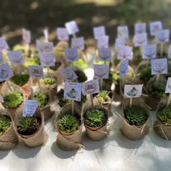 Kaktüsün Dünyası (kaktus35887) Pahalı Çiçek Fiyatına Ucuzu Gönderildi