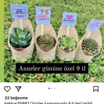 Kaktüsün Dünyası (kaktus35887) Pahalı Çiçek Fiyatına Ucuzu Gönderildi