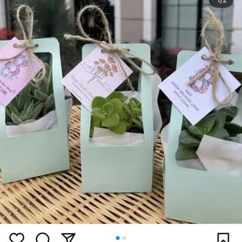 Kaktüsün Dünyası (kaktus35887) Pahalı Çiçek Fiyatına Ucuzu Gönderildi