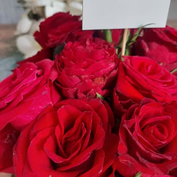 Çiçek Sepeti Buruşuk Çürümüş Güller Gönderiyor