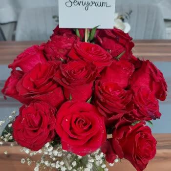 Çiçek Sepeti Buruşuk Çürümüş Güller Gönderiyor