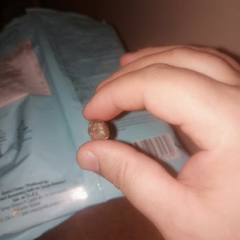 BİM Ay Çekirdeğinde Hayvan Dışkısı