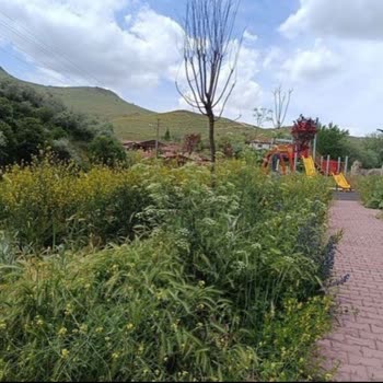 Mamak Belediyesi'nin Bakımsız Parkı