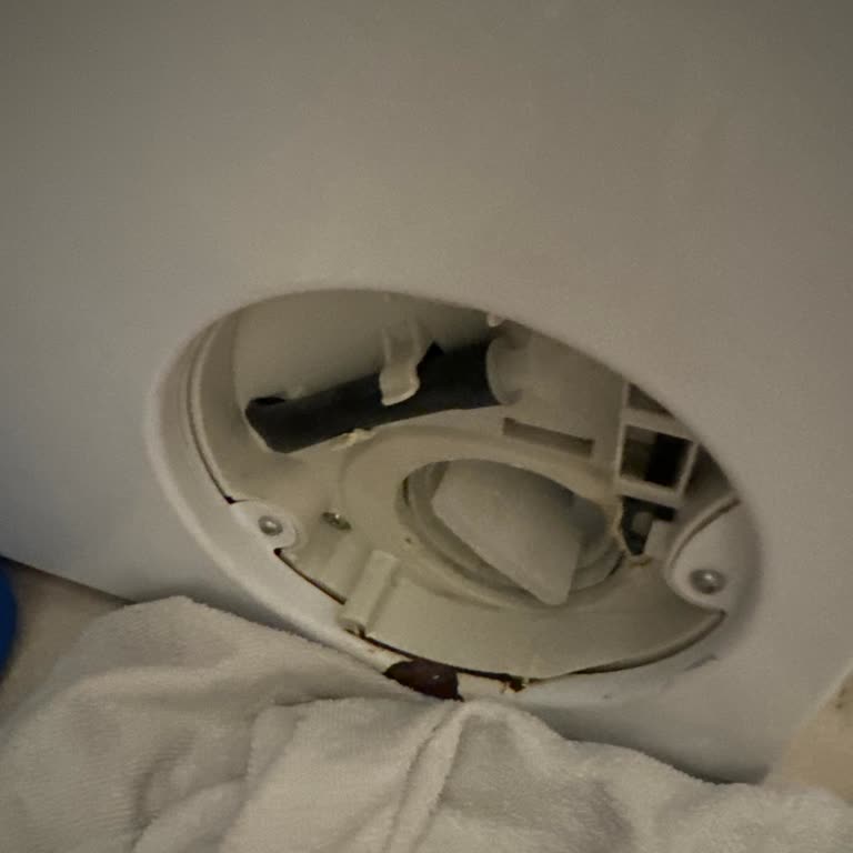 Bosch Çamaşır Makinesi Faturası