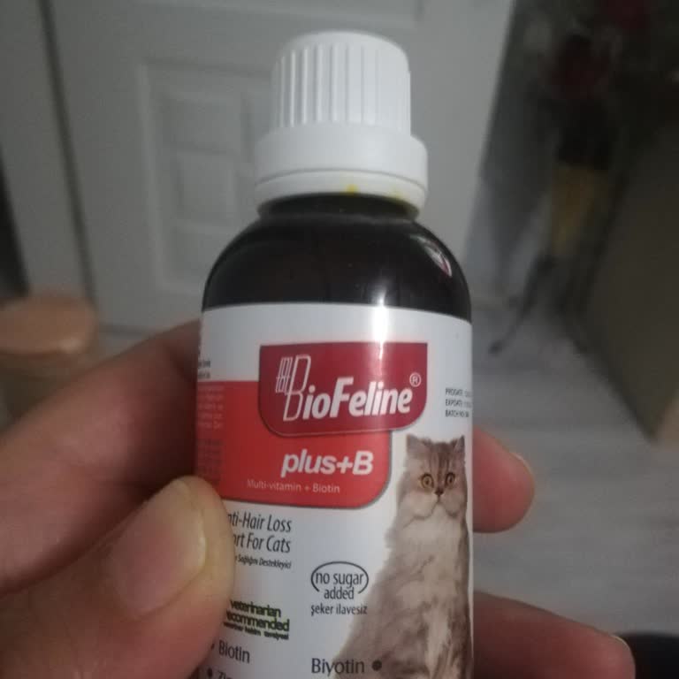 Biofeline Plus+b Damla Çok Kötü Kokmaya Başladı Bir Haftada Bozuldu