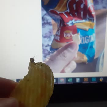 Ruffles Paketinden Çıkan Yabancı Madde