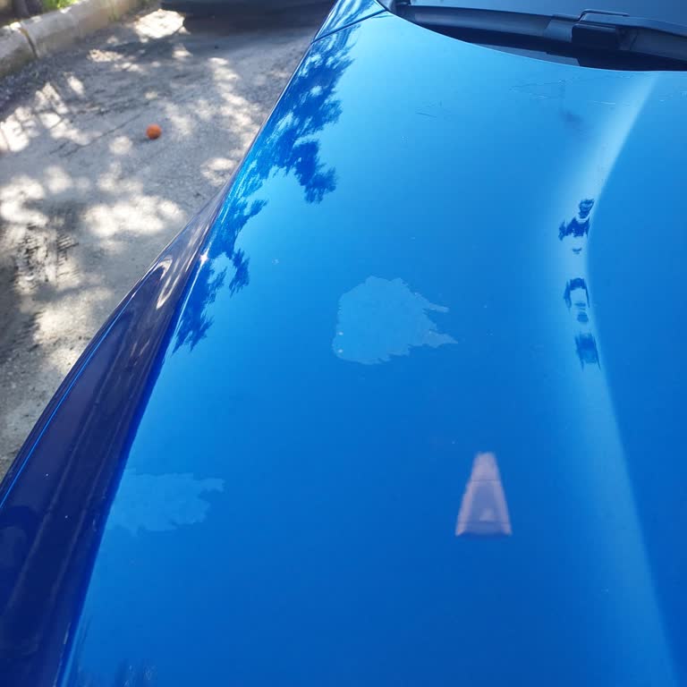 Honda Civic FC5 Paint Peeling Issue Xolvie